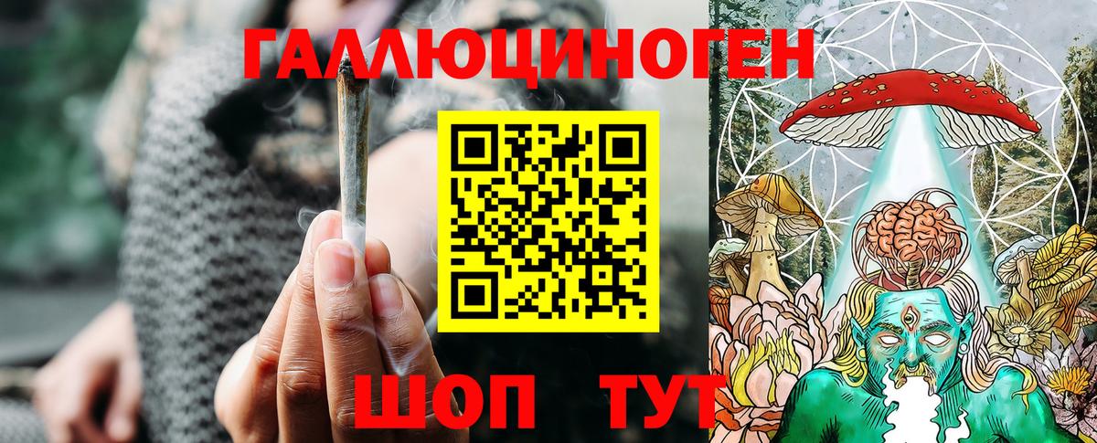 Галлюциногенные грибы Psilocybine cubensis  Псилоцибиновые грибы Cubensis  Сосновый Бор  где можно купить наркотик  Вход с VPN 