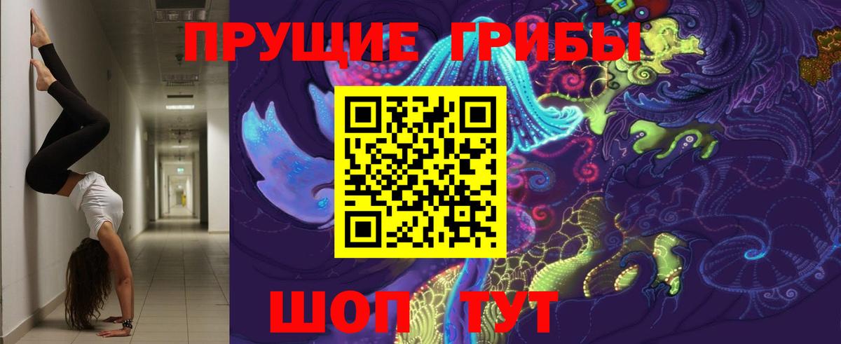 Псилоцибиновые грибы MAGIC MUSHROOMS Сосновый Бор