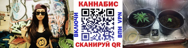 купить закладку Сосновый Бор Бошки марихуана тримм
